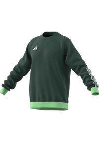 Bluza sportowa męska Adidas Tiro 23 Competition Crew. Kolor: zielony