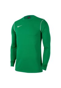 Bluza treningowa chłopięca Nike JR Park 20 Crew. Kolor: zielony, biały, wielokolorowy. Sport: piłka nożna