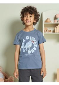 Sinsay - Koszulka z motywem dinozaura - szary. Kolor: szary #1