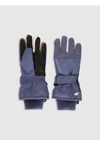 4f - 4F Rękawiczki narciarskie Thinsulate dziecięce - granatowe M. Kolor: niebieski. Materiał: skóra, materiał. Technologia: Thinsulate. Sezon: zima. Sport: narciarstwo #1