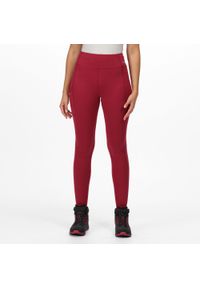 Holeen II Regatta damskie turystyczne legginsy. Kolor: różowy. Materiał: tkanina