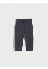 Reserved - Dresowe spodnie z przeszyciami - ciemnoszary. Kolor: szary. Materiał: dresówka
