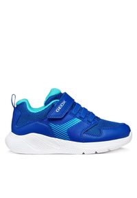 Sneakersy Geox. Kolor: niebieski #1