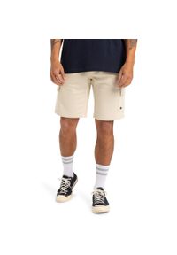 Quiksilver - dla Mężczyzn CARGO Biały. Kolor: biały. Materiał: materiał, poliester, bawełna. Długość: krótkie. Sezon: lato