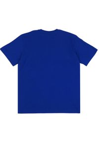Koszulka męska Champion SS Tee. Kolor: niebieski