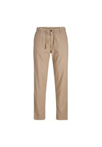 Spodnie Jack & Jones Kane Hybrid crockery. Kolor: wielokolorowy. Sport: skateboard #1