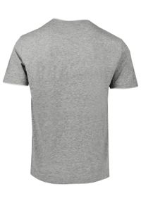 Jednokolorowa Koszulka z Lamówką - Pako Jeans - Popiel. Okazja: na co dzień. Materiał: wiskoza, bawełna. Styl: casual #4