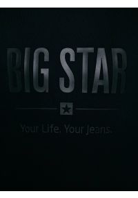 Big-Star - Bluza męska z nadrukiem czarna Ecodort 906. Kolor: czarny. Wzór: nadruk. Styl: klasyczny #5