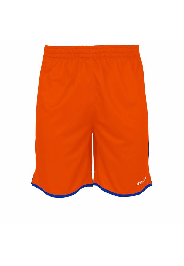 STANNO - Szorty dla dzieci Stanno Altius. Okazja: na uczelnię. Kolor: wielokolorowy, niebieski, pomarańczowy. Materiał: poliester. Styl: sportowy. Sport: joga i pilates