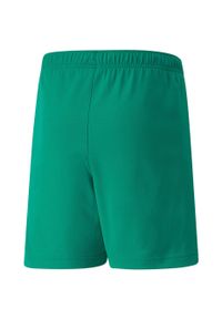 Spodenki piłkarskie dla dzieci Puma teamRISE Short Jr. Kolor: zielony, biały, wielokolorowy