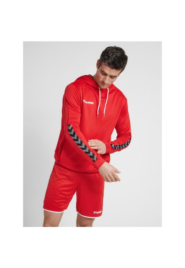 Bluza do piłki ręcznej męska Hummel hml AUTHENTIC Poly. Kolor: różowy, czerwony, wielokolorowy. Sport: fitness