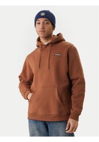 DC Shoes Bluza Patch It EDYFT03549 Brązowy Regular Fit. Kolor: brązowy. Materiał: bawełna #1