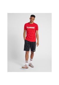 Koszulka sportowa z krótkim rękawem męska Hummel Cotton Logo. Kolor: czerwony, wielokolorowy, różowy. Długość rękawa: krótki rękaw. Długość: krótkie