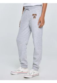 Big-Star - Spodnie chłopięce dresowe szare Lironp 901. Okazja: na co dzień. Kolor: szary. Materiał: dresówka. Wzór: haft, aplikacja. Styl: sportowy, casual #3