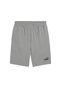 Puma - Męskie szorty Essentials 10" z logo No. 1 z dżerseju PUMA Medium Gray Heather. Kolor: szary. Materiał: jersey. Sport: fitness