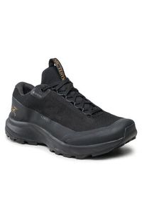 Arc'teryx Trekkingi Aerios FL 2 GTX Czarny. Kolor: czarny. Materiał: materiał #3