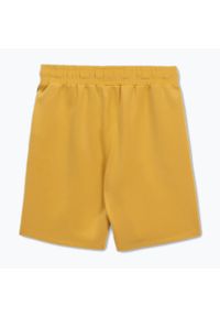 PITBULL - Spodenki męskie Pitbull Track Shorts Powers. Kolor: żółty