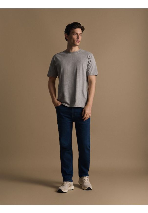 Reserved - Bawełniany t-shirt regular fit - szary. Kolor: szary. Materiał: bawełna