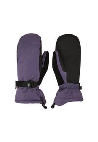 Quiksilver - Techniczne rękawice do sportów zimowych dla Mężczyzn MISSION. Kolor: fioletowy. Materiał: poliester, materiał. Sezon: zima. Sport: narciarstwo #1