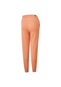 Puma Spodnie Ess Closed 84720646. Kolor: brązowy. Długość: długie #2