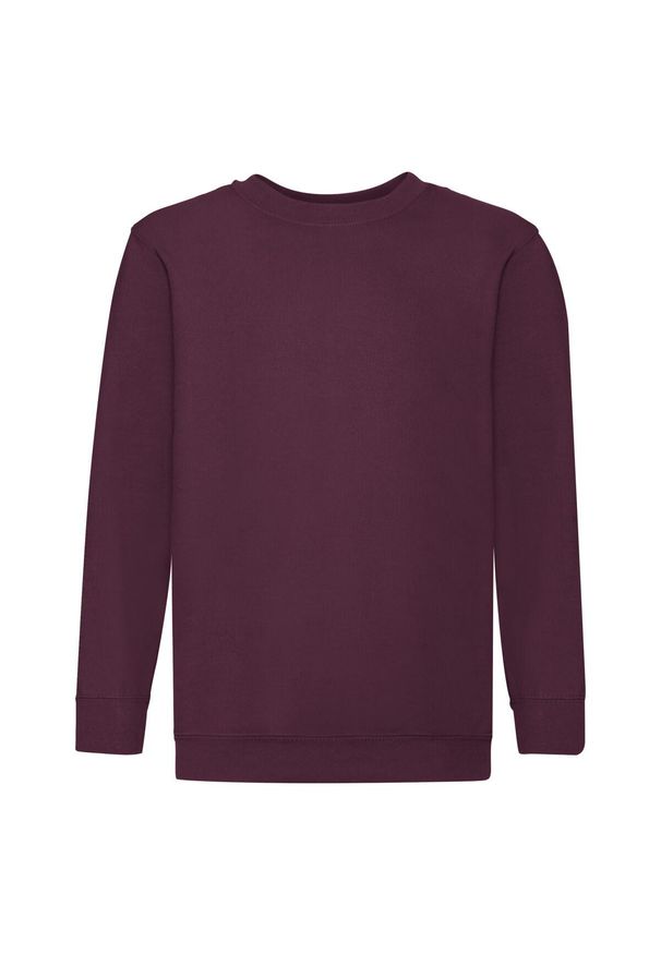 FRUIT OF THE LOOM - Bluza Dziecięca Premium W Komplecie. Kolor: czerwony, wielokolorowy, brązowy