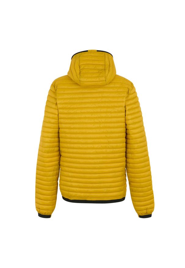 Regatta - Męska Ocieplana Kurtka Rigain. Kolor: żółty. Materiał: puch. Sport: turystyka piesza