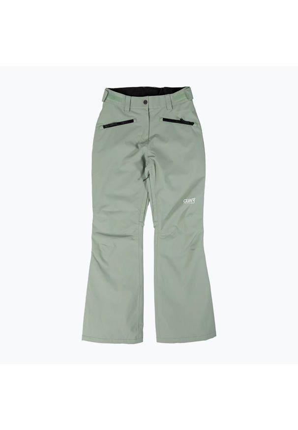 Spodnie snowboardowe damskie Colourwear Cork lt. Kolor: zielony. Sezon: zima. Sport: snowboard