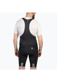 ENDURA - Spodenki rowerowe męskie Endura FS260 II Bibshort. Kolor: szary