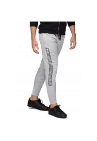 Spodnie dresowe męskie Under Armour. Kolor: szary. Materiał: dresówka. Sport: fitness