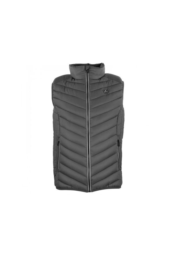 PEAK MOUNTAIN - Cienka kurtka puchowa bez rękawów Peak Mountain. Typ kołnierza: kołnierzyk stójkowy. Kolor: szary. Materiał: puch. Długość rękawa: bez rękawów. Sport: turystyka piesza