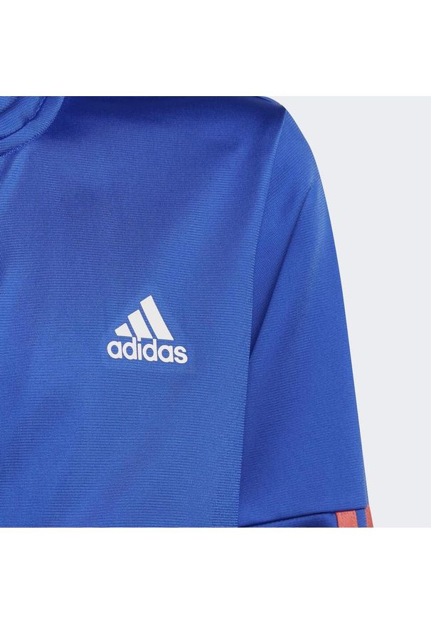 Adidas - Dziecięcy dres adidas 3-Stripes Team. Kolor: pomarańczowy, wielokolorowy, niebieski. Materiał: dresówka. Wzór: paski