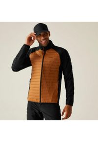 Regatta - Kurtka męska hybrydowa Clumber. Kolor: pomarańczowy. Materiał: puch. Sport: turystyka piesza #1