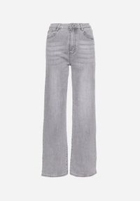 Born2be - Jasnoszare Jeansy Szerokie z Bawełny z Wyższym Stanem Adrinca. Okazja: na co dzień. Stan: podwyższony. Kolor: szary. Styl: casual #7