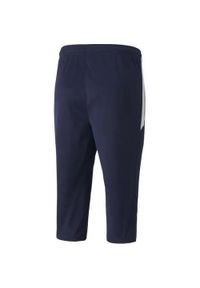 Spodnie męskie Puma teamLIGA Training 3/4 Pants. Kolor: biały, niebieski, wielokolorowy. Sport: piłka nożna, fitness