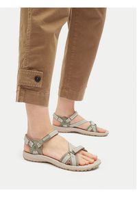 Jack Wolfskin Sandały Lakewood Ride Sandal M 4019041 Beżowy. Kolor: beżowy. Materiał: materiał #4