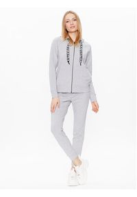 DKNY Sport Spodnie dresowe DP2P1917 Szary Classic Fit. Kolor: szary. Materiał: bawełna