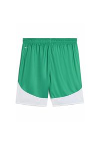 Puma - Męskie szorty piłkarskie SK Rapid Wiedeń PUMA Sport Green White. Kolor: biały, wielokolorowy, zielony. Sport: piłka nożna