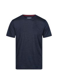 Regatta - T-Shirt Męski Fingal Edition. Kolor: wielokolorowy, niebieski, szary