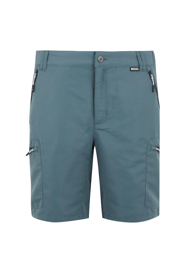 Regatta - Męskie Spodenki Leesville III. Kolor: szary, niebieski, wielokolorowy. Sport: turystyka piesza