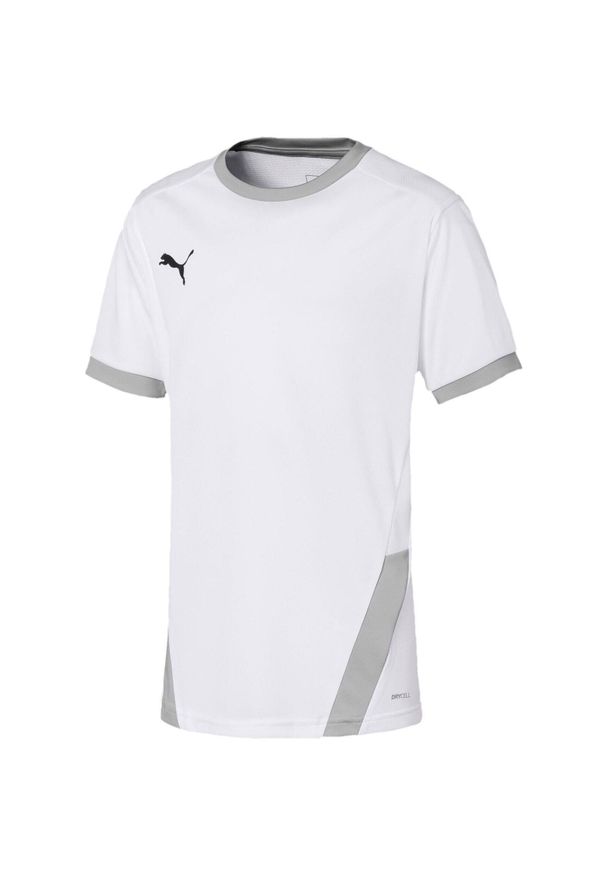 Podkoszulek Puma Teamgoal 23 Jersey Jr, Dzieci. Kolor: biały, wielokolorowy, szary. Materiał: poliester