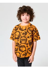 Sinsay - Koszulka Spider-Man - pomarańczowy. Kolor: pomarańczowy #1