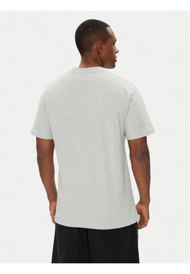 DC Shoes T-Shirt Change ADYZT05462 Szary Regular Fit. Kolor: szary. Materiał: bawełna