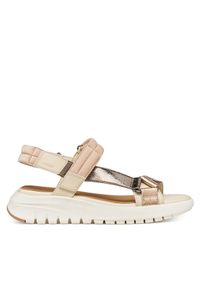 Sandały Geox. Wzór: kolorowy #1