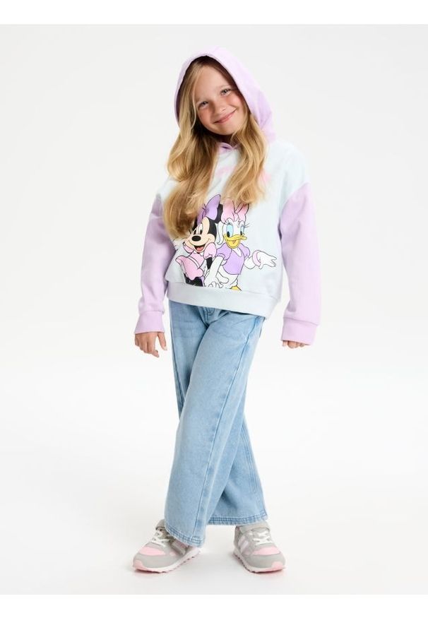 Sinsay - Bluza z kapturem Minnie Mouse - wielobarwny. Typ kołnierza: kaptur. Wzór: motyw z bajki