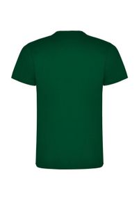 ROLY - Męska Koszulka Dogo Premium. Kolor: zielony. Sport: turystyka piesza