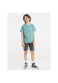 Koszulka chłopięca Protest PRTBIKE JR t-shirt. Kolor: zielony, niebieski, wielokolorowy. Sport: turystyka piesza