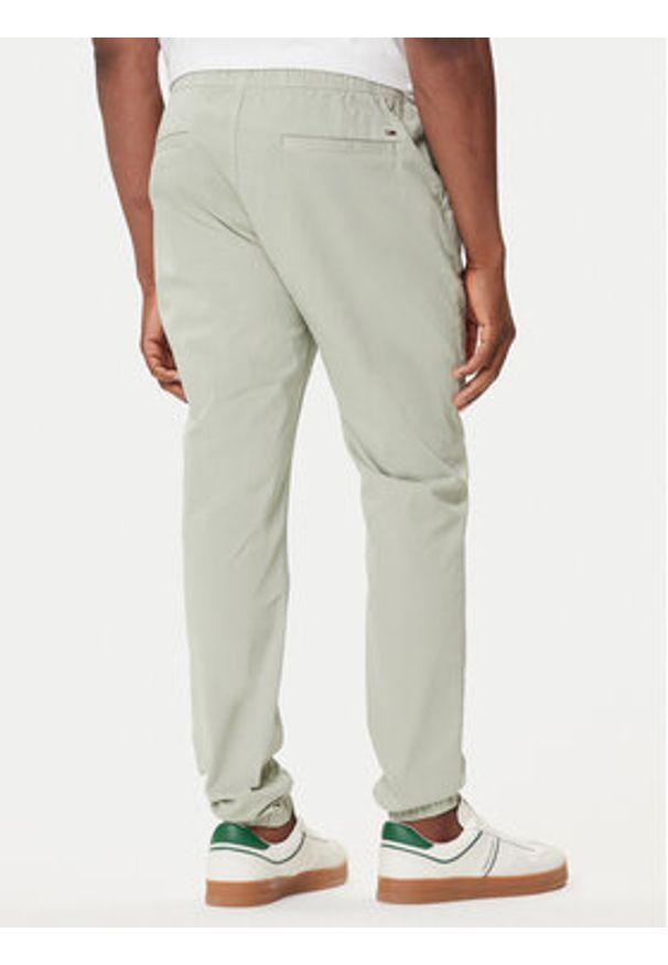 Tommy Jeans Joggery Austin DM0DM20283 Zielony Slim Fit. Kolor: zielony. Materiał: bawełna