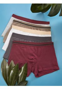 Sinsay - Bokserki 5 pack - wielobarwny #1