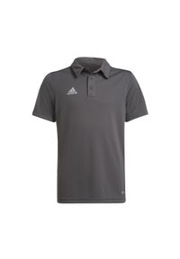 Adidas - Koszulka polo piłkarska dla dzieci adidas Entrada 22 Polo. Typ kołnierza: polo. Kolor: szary. Sport: piłka nożna #1