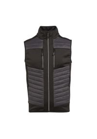 Regatta - Termiczny Ogrzewacz Hybrydowy Dla Dorosłych Unisex EVolve. Kolor: szary, fioletowy, wielokolorowy, czarny. Styl: sportowy. Sport: turystyka piesza #1